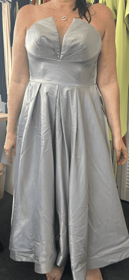 TINA HOLLY Madame Gown In Silver